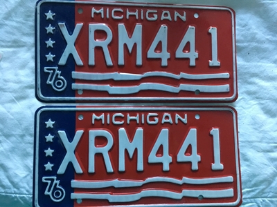 Picture of 1976 Michigan Pair #XM-441