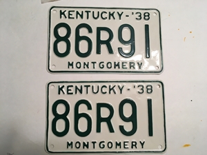 Picture of 1938 Kentucky Pair  #86-R91