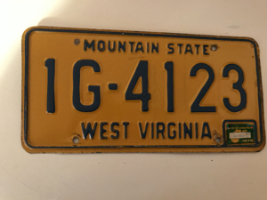 Picture of 1976 West Virginia #1G-4123
